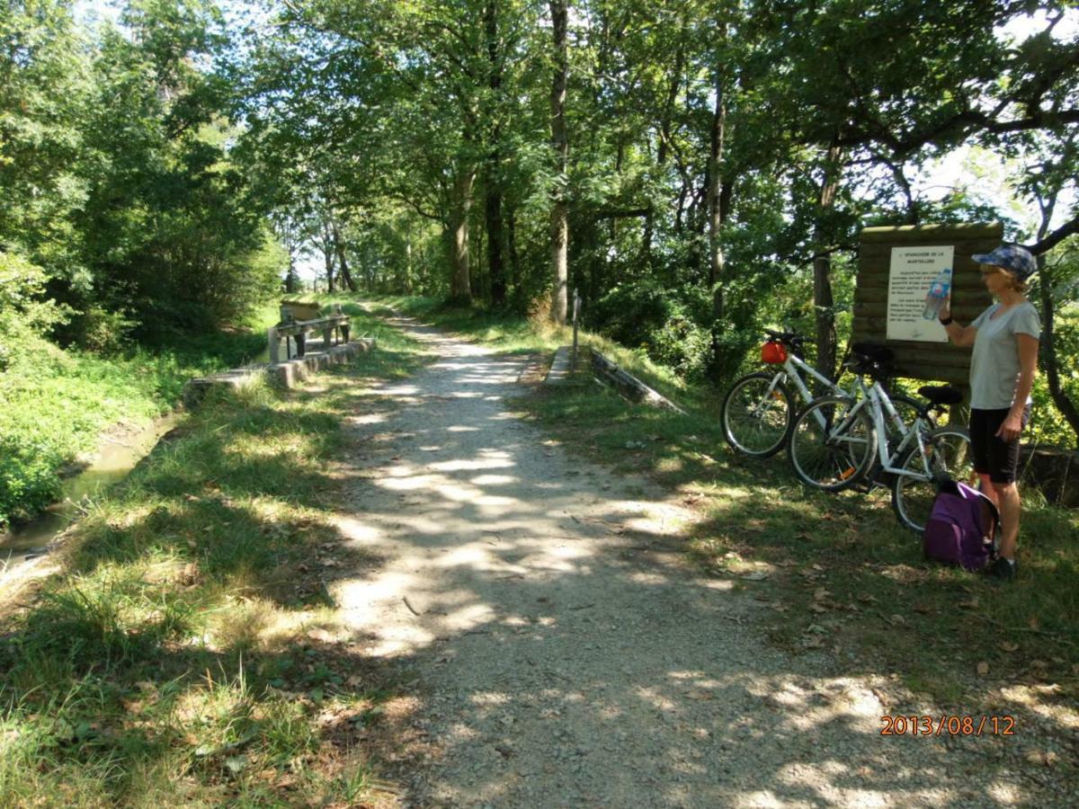 Camping Le Moulin Du Roy Revel  Kültér fotó